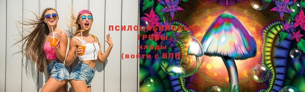 герыч Дмитров