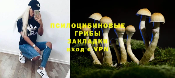 меф Дмитриев