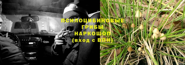 герыч Дмитров