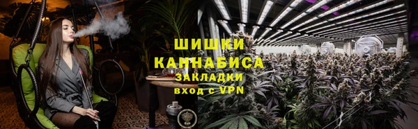 меф Дмитриев