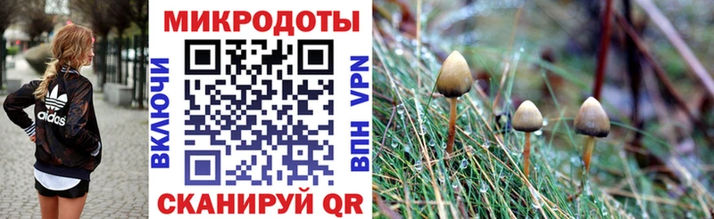 Псилоцибиновые грибы Cubensis  Купить  Уяр 